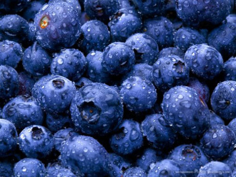wet-blueberries